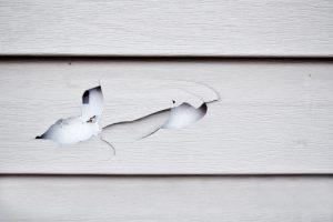 When to Consider Siding Repair